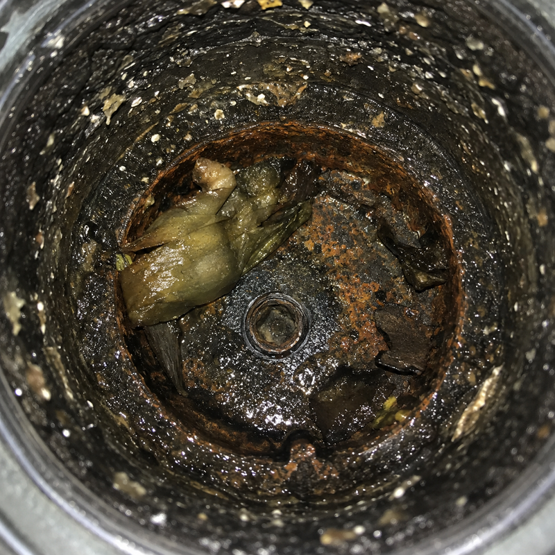 Food sludge